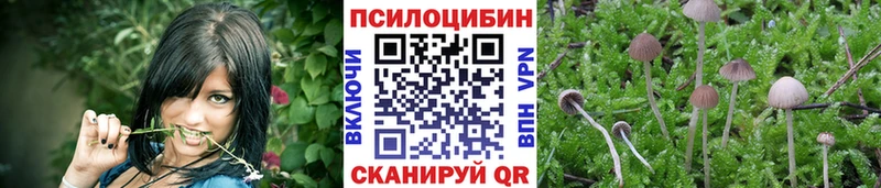 закладка  Ухта  Псилоцибиновые грибы мухоморы 