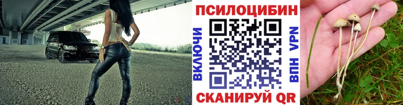 Псилоцибиновые грибы мухоморы Ухта